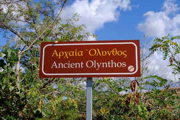 Ancient Olynth Schild