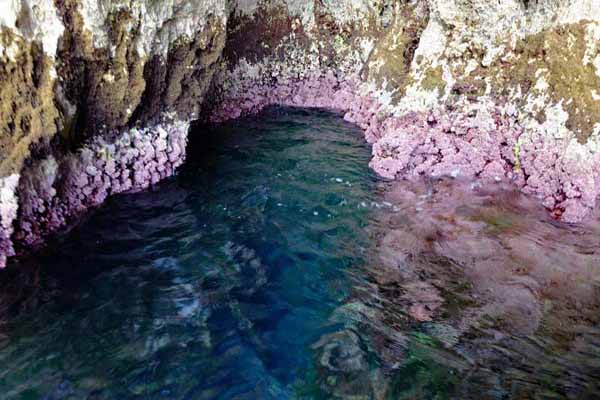 Paleokastritsa Bootstour