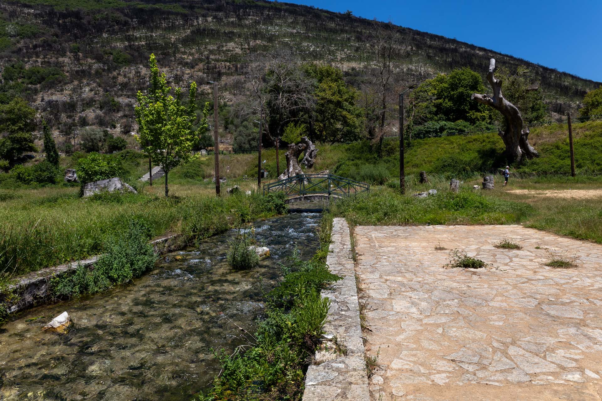Eindrücke aus dem Platanenwald Agios Georgios