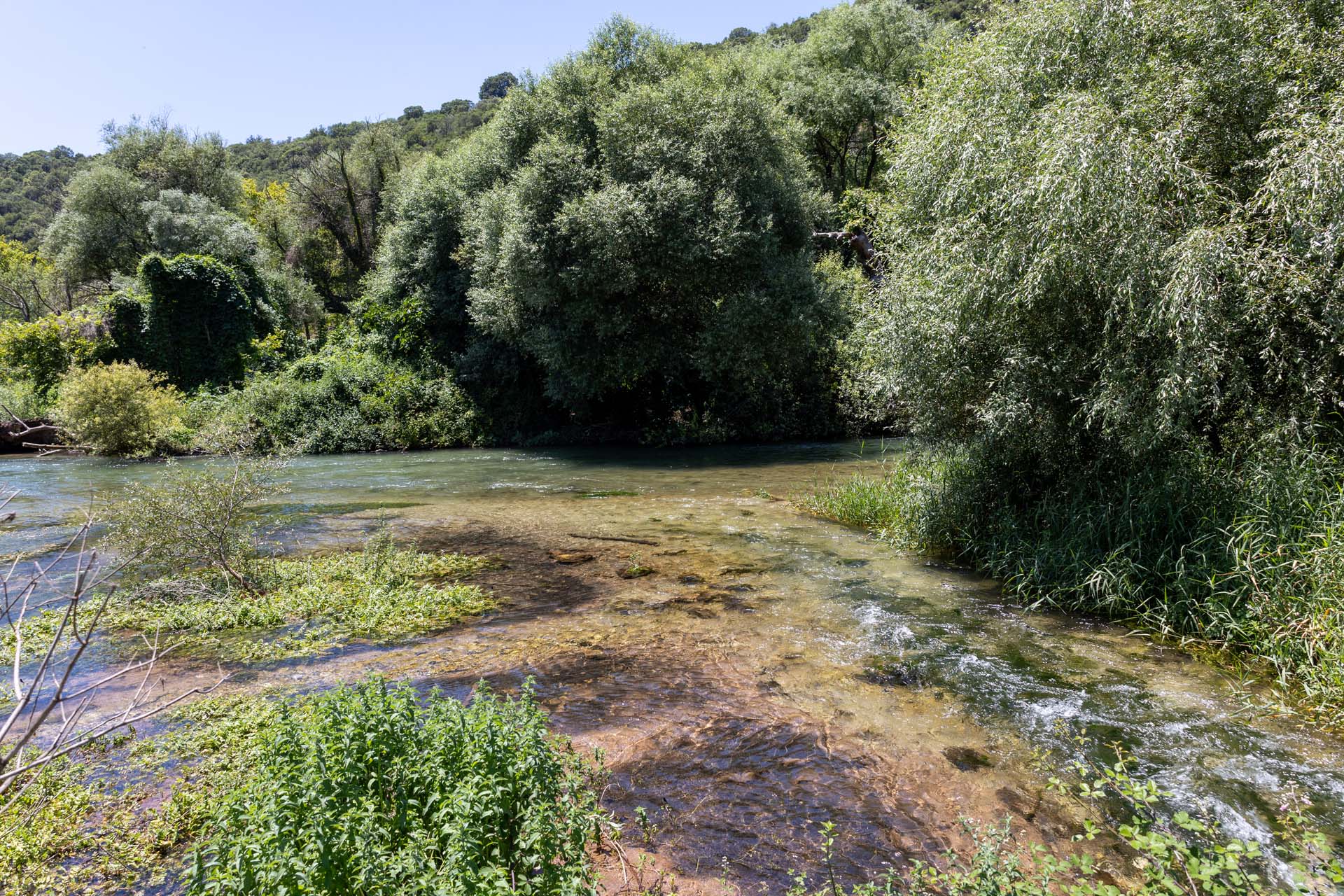 Schattenplätze am Ufer des Flusslaufs