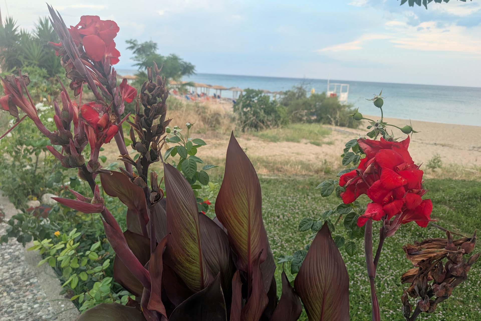 Mediterrane Bepflanzung an der Promenade
