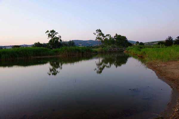 Nea Styra Fluss