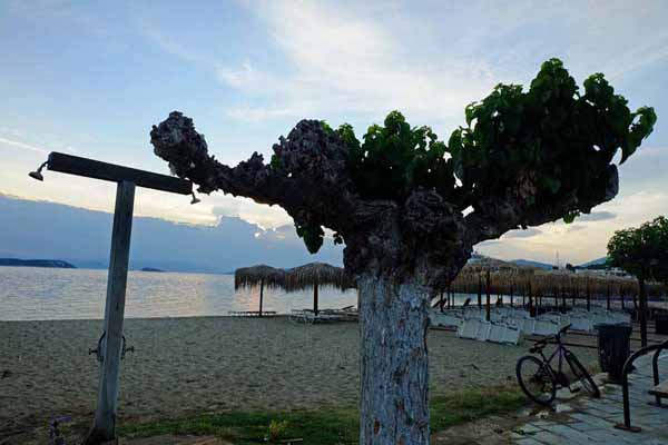 Nea Styra Strand