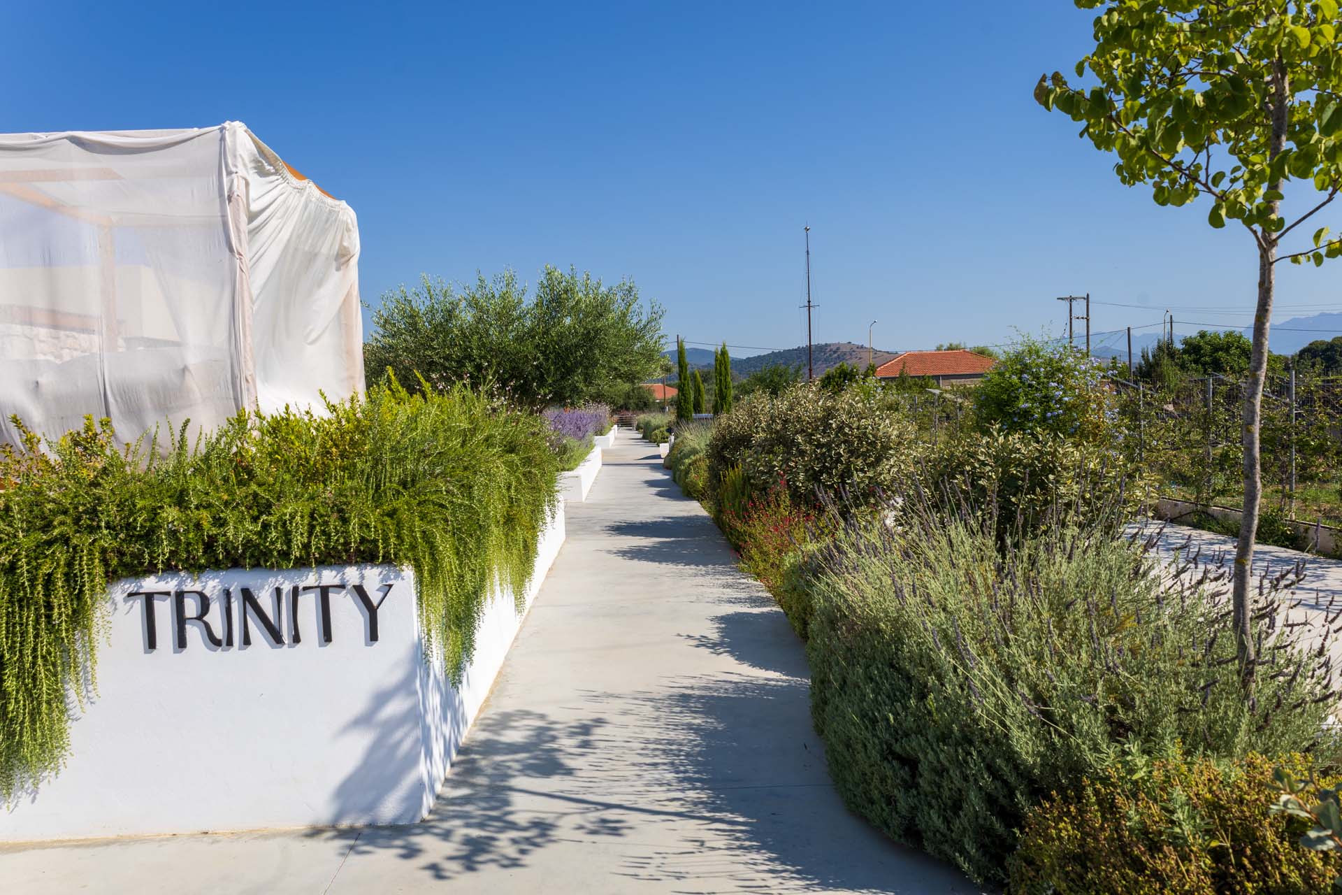 Trinity Design Suites