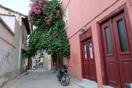 Nafplio Bewachsen